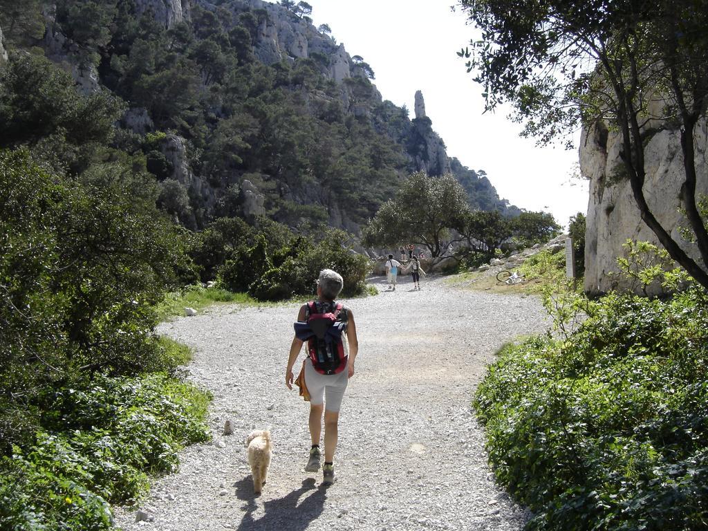 Apartmán Cairenou Location Saint-Martin-dʼArdèche Exteriér fotografie